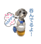 カール君のスタンプ！（個別スタンプ：2）