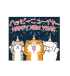 ランラン猫 23 (日本語)（個別スタンプ：24）