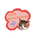 てばさんのスタンプ3（個別スタンプ：1）