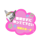 てばさんのスタンプ3（個別スタンプ：4）