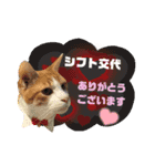 てばさんのスタンプ3（個別スタンプ：6）