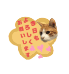 てばさんのスタンプ3（個別スタンプ：7）