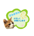 てばさんのスタンプ3（個別スタンプ：8）