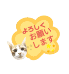 てばさんのスタンプ3（個別スタンプ：9）