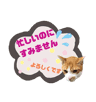 てばさんのスタンプ3（個別スタンプ：10）