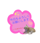 てばさんのスタンプ3（個別スタンプ：11）