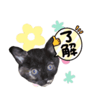 てばさんのスタンプ3（個別スタンプ：16）