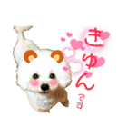 pannacotta2017①（個別スタンプ：2）