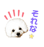 pannacotta2017①（個別スタンプ：6）