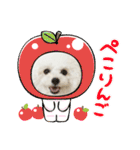 pannacotta2017①（個別スタンプ：15）