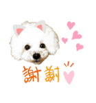 pannacotta2017①（個別スタンプ：16）