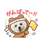 pannacotta2017①（個別スタンプ：20）