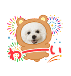 pannacotta2017①（個別スタンプ：23）