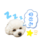 pannacotta2017①（個別スタンプ：27）
