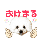 pannacotta2017①（個別スタンプ：29）