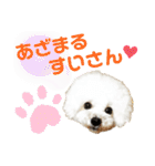 pannacotta2017①（個別スタンプ：32）