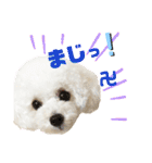 pannacotta2017①（個別スタンプ：36）