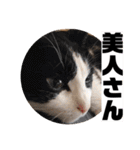 テオット6（個別スタンプ：11）