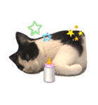 テオット6（個別スタンプ：17）