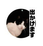 テオット6（個別スタンプ：39）