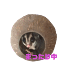 フクロモモンガのフクちゃん☆（個別スタンプ：7）