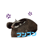 フクロモモンガのフクちゃん☆（個別スタンプ：8）