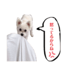もふもふ珀君2（個別スタンプ：14）
