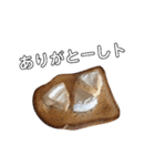 Year Honey（個別スタンプ：1）