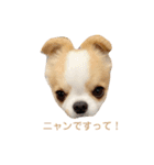 Year Honey（個別スタンプ：7）