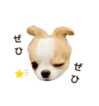 Year Honey（個別スタンプ：9）