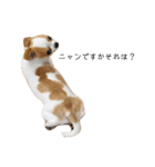 Year Honey（個別スタンプ：10）