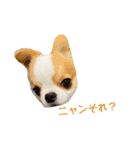 Year Honey（個別スタンプ：15）