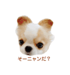 Year Honey（個別スタンプ：30）