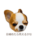 Year Honey（個別スタンプ：31）
