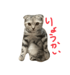 ここちゃんの一日（個別スタンプ：7）