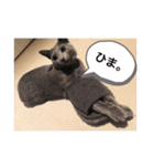 lauraのいちにち。（個別スタンプ：7）