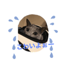 lauraのいちにち。（個別スタンプ：9）