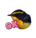 野鳥のことば（個別スタンプ：7）