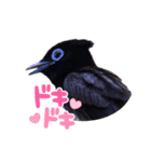 野鳥のことば（個別スタンプ：10）