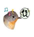 野鳥のことば（個別スタンプ：13）