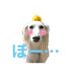 サルーキのジェダイト♪（個別スタンプ：7）