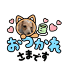どこでも、つかえるスタンプ（個別スタンプ：13）
