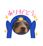 どこでも、つかえるスタンプ（個別スタンプ：14）