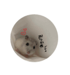 ぴーちゃんだお2（個別スタンプ：2）