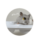 ぴーちゃんだお2（個別スタンプ：5）