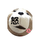 teddu＆chang（個別スタンプ：5）