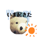 teddu＆chang（個別スタンプ：6）