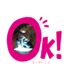 1歳のカズくん 激しいver.（個別スタンプ：1）