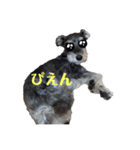 現実の犬（個別スタンプ：6）