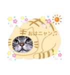 まいにち猫日和（個別スタンプ：2）